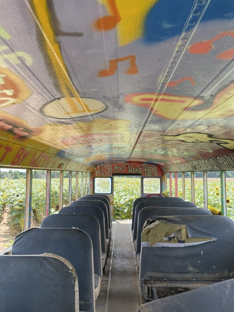                                                           Repurposed Rainbow Bus at a Sunflower Farm in NJ