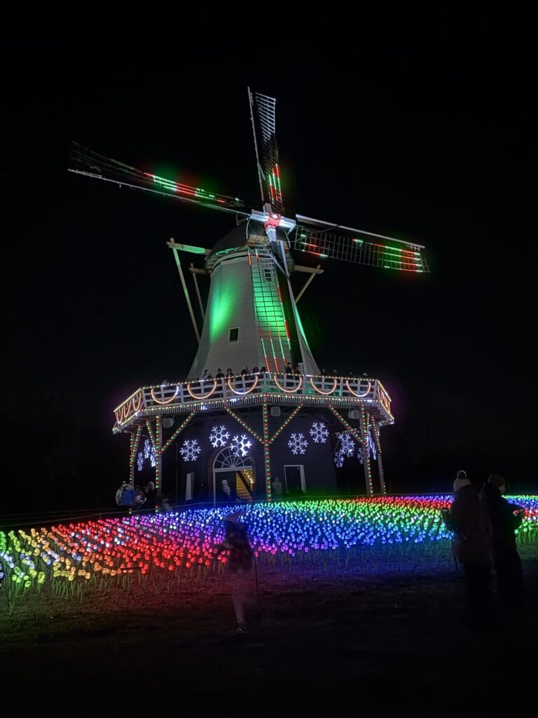Night view of a windmill ride lit with multicolored LEDs, with a foreground of glowing flower-like lights and spectators along the base.